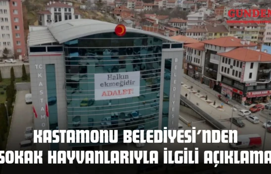 Kastamonu Belediyesi'nden Sokak Hayvanlarıyla İlgili Açıklama