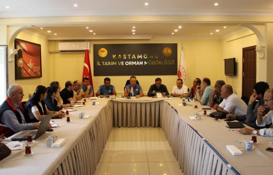 Kastamonu'da 4 Bin 787 Ton Hamsi Kotası Verildi