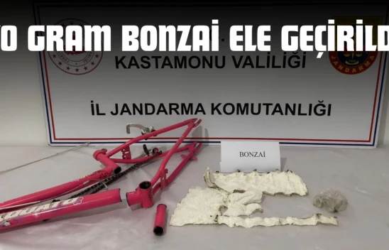 Kastamonu'da 70 Gram Bonzai Ele Geçirildi