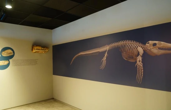 Kastamonu'da 70 Milyon Yıllık Keşif