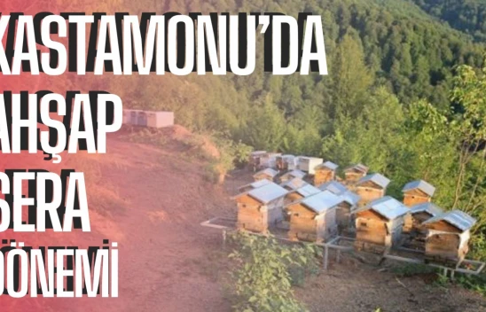 Kastamonu'da ahşap sera dönemi, hedef serada bölge merkezi olmak