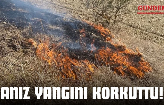 Kastamonu'da Anız Yangını Korkuttu!