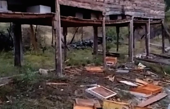 Kastamonu'da ayı kabusu sürüyor