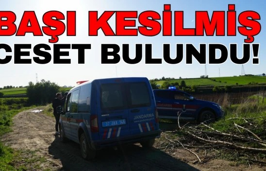 Kastamonu'da Başı Kesilmiş Ceset Bulundu