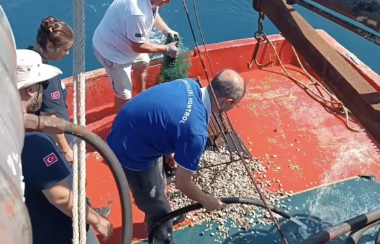 Kastamonu'da Beyaz Kum Midyesi İzleme Çalışmaları Sürüyor