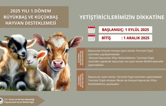 Kastamonu'da Büyükbaş ve Küçükbaş Hayvan Destekleme Başvuruları Başlıyor