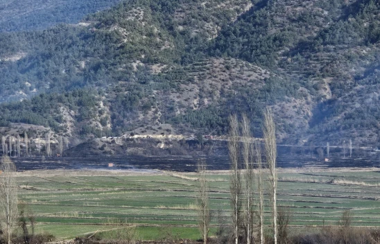 Kastamonu'da Çeltik Tarlasında Çıkan Yangın, Ormana Sıçradı!