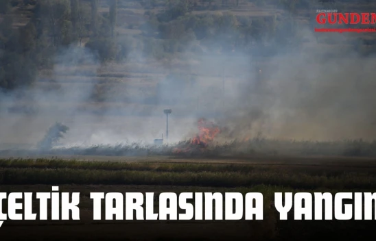 Kastamonu'da Çeltik Tarlasında Yangın