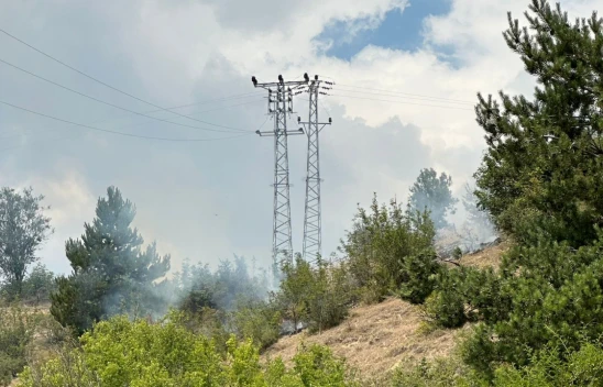 Kastamonu'da Çıkan Orman Yangınına Müdahale Ediliyor
