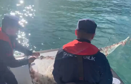 Kastamonu'da Bin 100 Metre Kaçak Ağ Ele Geçirildi