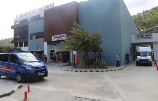 Kastamonu'da Domuz Saldırısı