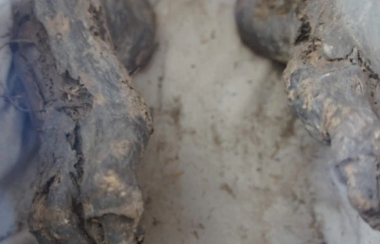 Kastamonu'da En Çok Hangi Türbe Ziyaret Ediliyor ?