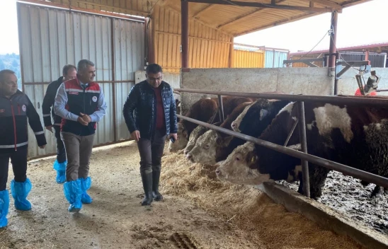 Kastamonu'da Hayvancılık İşletmeleri Yerinde İncelendi