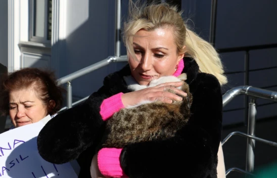 Kastamonu'da Hayvanseverlerden Kediye Vahşet Protestosu