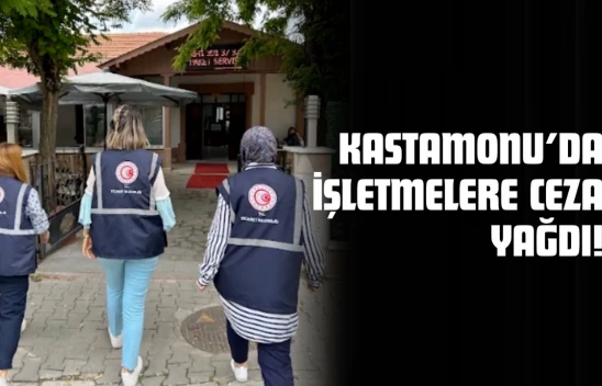Kastamonu'da İşletmelere Ceza Yağdı: 16 İhlale 50 Bin TL'nin Üzerinde Ceza