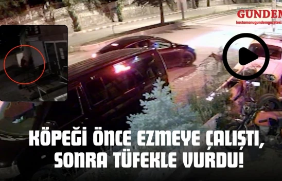 Kastamonu'da Kan Donduran Olay: Köpeği Önce Ezmeye Çalıştı, Sonra Tüfekle Vurdu!