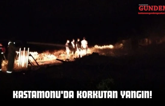 Kastamonu'da Korkutan Yangın!