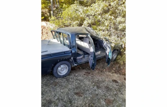 Mantar toplamaya giden aile kaza yaptı: 8 yaralı