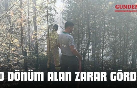 Kastamonu'da Orman Yangını: 10 Dönüm Alan Zarar Gördü