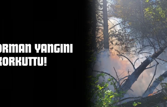 Kastamonu'da Orman Yangını Korkuttu