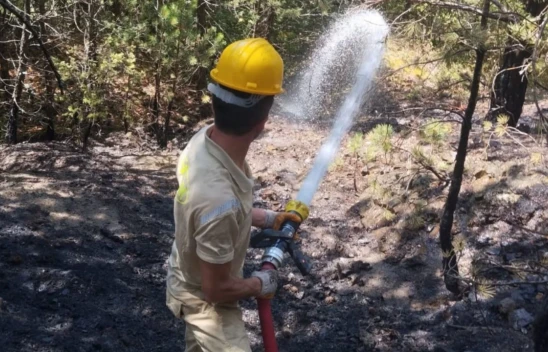 Kastamonu'da Orman Yangını!
