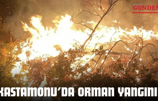 Kastamonu'da Orman Yangını!