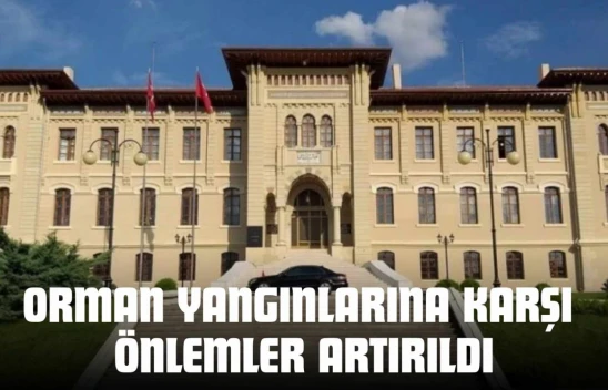 Kastamonu'da Orman Yangınlarına Karşı Önlemler Artırıldı