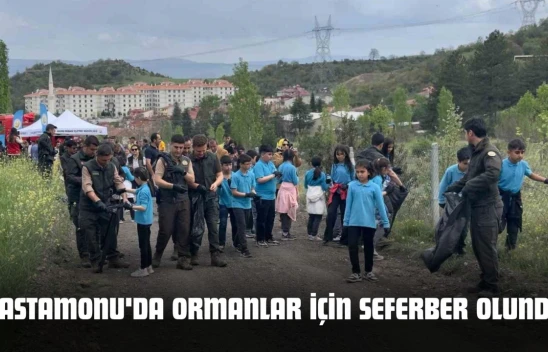 Kastamonu'da Ormanlar İçin Seferber Olundu