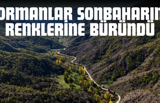 Kastamonu'da Ormanlar Sonbaharın Renklerine Büründü