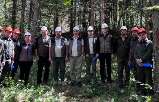 Kastamonu'da Ormanlarda Sıklık Bakımı Tatbikatı Gerçekleştirildi