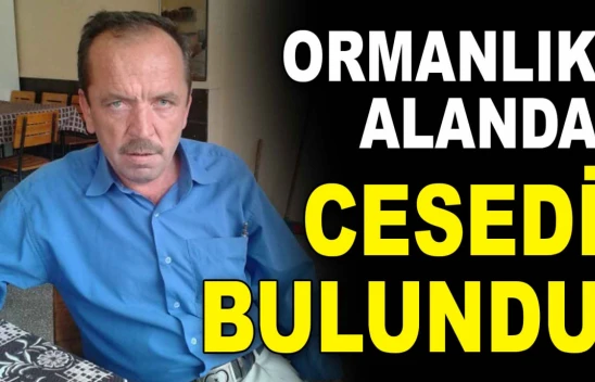 Kastamonu'da Ormanlık Alanda Erkek Cesedi Bulundu