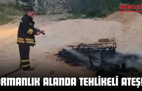 Kastamonu'da Ormanlık Alanda Tehlikeli Ateş!