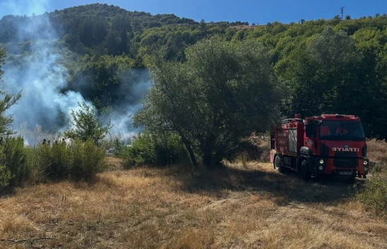 Kastamonu'da Ormanlık Alanda Yangın