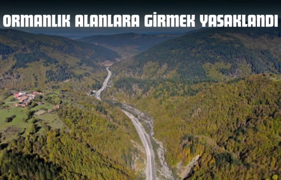 Kastamonu'da Ormanlık Alanlara Girmek Yasaklandı
