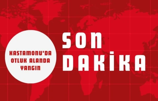 Kastamonu'da Otluk Alanda Yangın