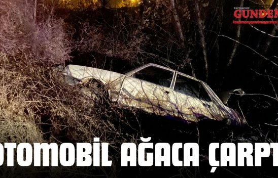 Kastamonu'da Otomobil Ağaca Çarptı: 1 Yaralı