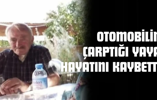 Kastamonu'da Otomobilin Çarptığı Yaya Hayatını Kaybetti