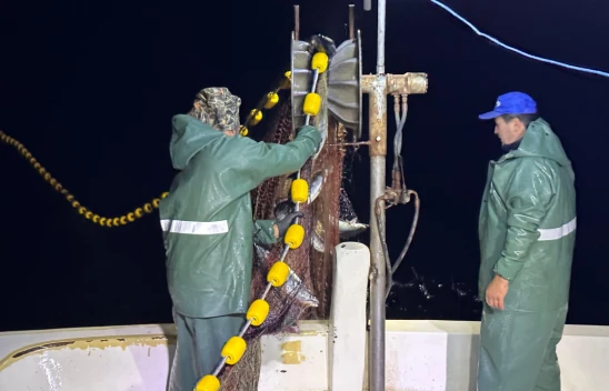 Kastamonu'da Palamut Bereketi