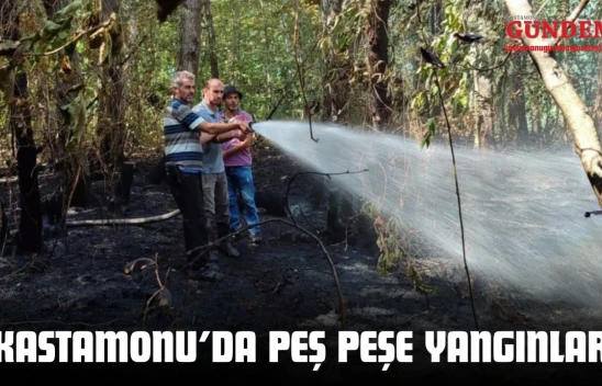Kastamonu'da Peş Peşe Yangınlar: Ekipler Zamanla Yarıştı