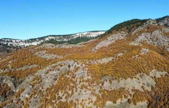 Kastamonu'da Sonbaharın Renkleri Mest Ediyor