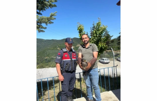 Kastamonu'da Tedavileri Tamamlanan Kuşlar Doğaya Salındı