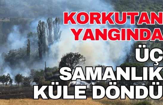 Kastamonu'da Üç Samanlık ve Ekin Tarlası Yandı