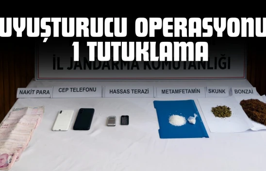 Kastamonu'da Uyuşturucu Operasyonu: 1 Tutuklama