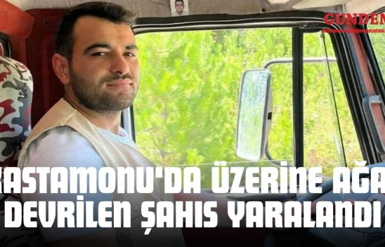 Kastamonu'da Üzerine Ağaç Devrilen Şahıs Yaralandı