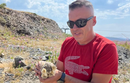Kastamonu'da Yaban Hayvanları Renkli Görüntüler Oluşturdu