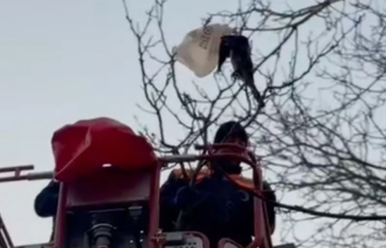 Kastamonu'da Yürek Isıtan Kurtarma Operasyonu