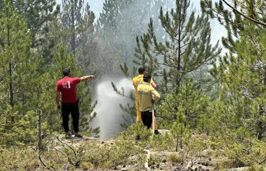Kastamonu'daki Orman Yangınları Kontrol Altına Alındı