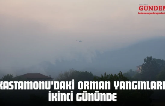 Kastamonu'daki Orman Yangınları İkinci Gününde