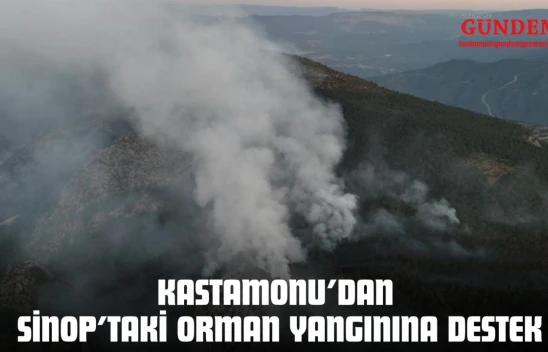 Kastamonu'dan Sinop'taki Orman Yangınına Destek