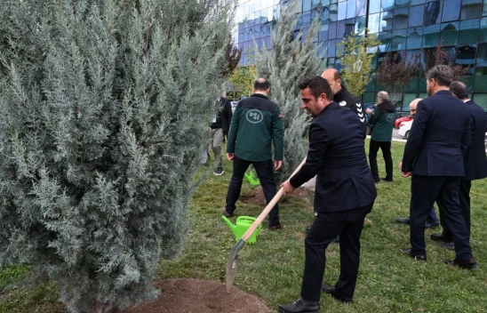 Kastamonu DSİ'den Anlamlı Fidan Dikimi
